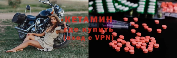 индика Костерёво