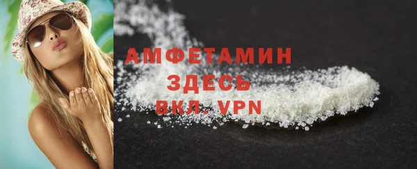 индика Костерёво