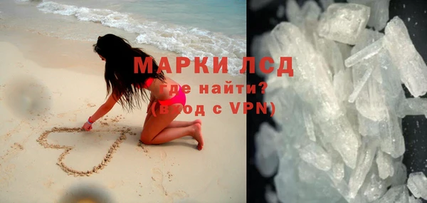 индика Костерёво