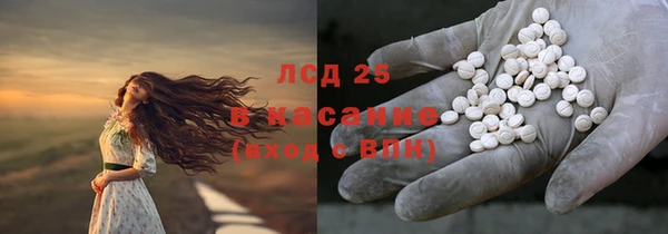 индика Костерёво