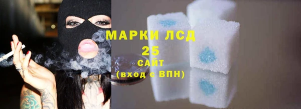 spice Корсаков