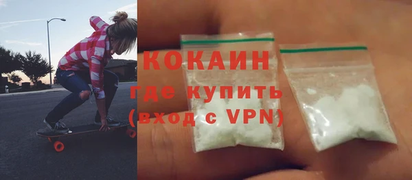 индика Костерёво
