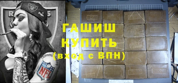 индика Костерёво