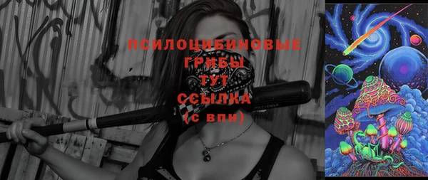 спайс Козловка
