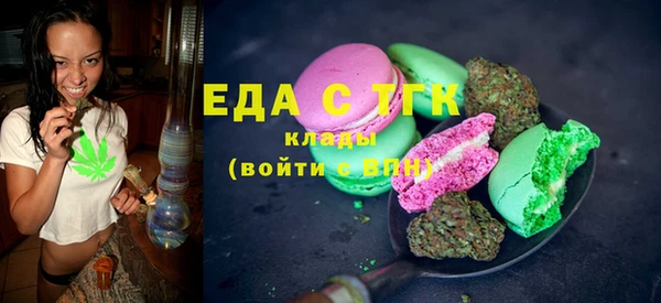 индика Костерёво