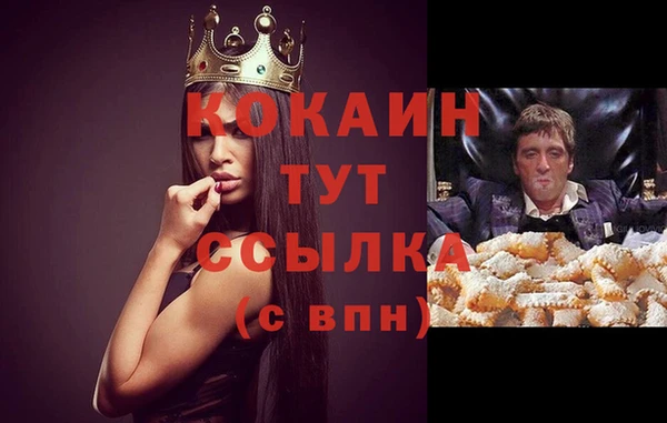 spice Корсаков